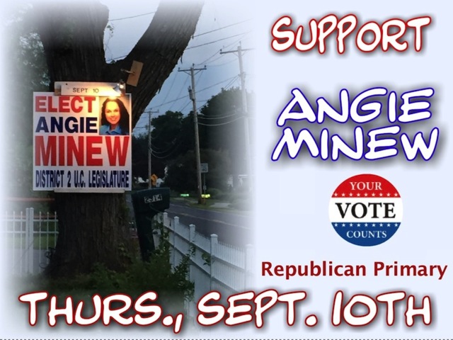 angie_minew